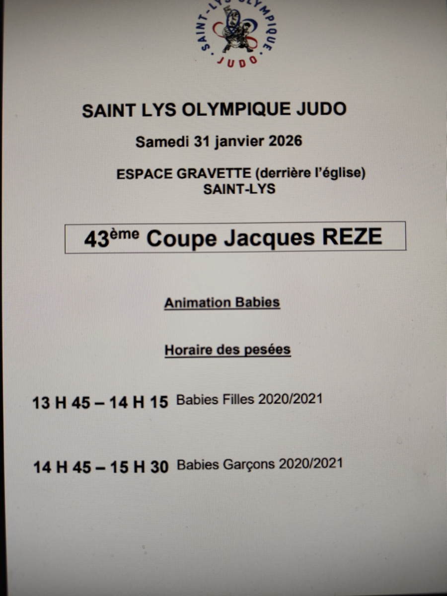 Animation baby judo de Saint-Lys