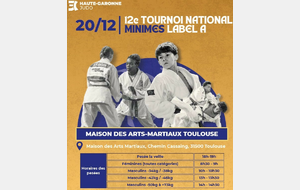 Tournoi National Minimes de Toulouse