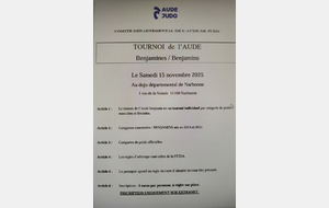 Tournoi Régional Benjamin à Narbonne